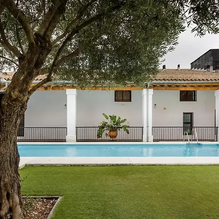 Artqhost Jerez Huge Loft & Free Parking جيريز